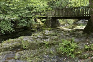 Brücke über den Shimna-Fluss im Tollymore Forest Park