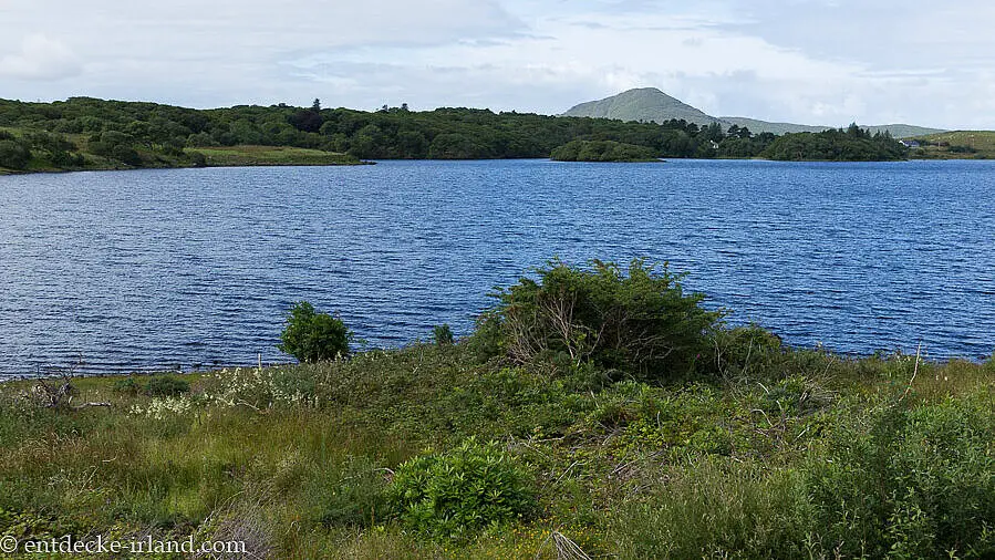 am Lough Garroman in Connema